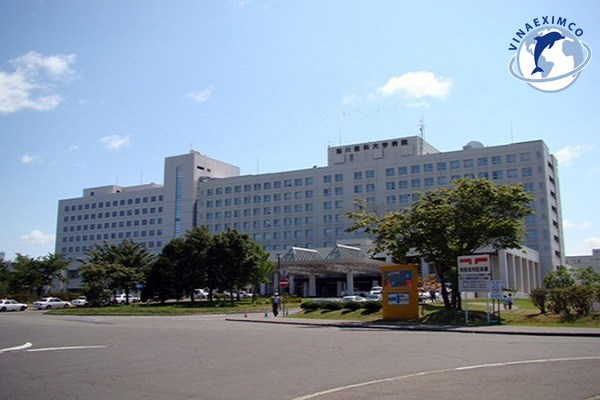 Đại học Y Asahikawa